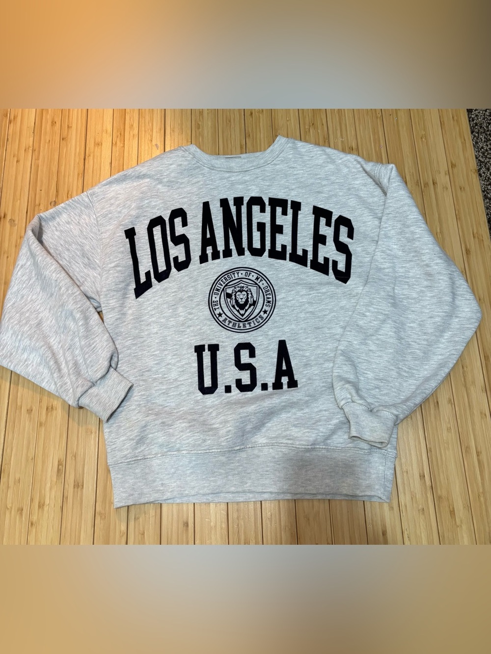 Zara graphic sweatshirt. Sized for youth but fits an adult size S/M. EUC.